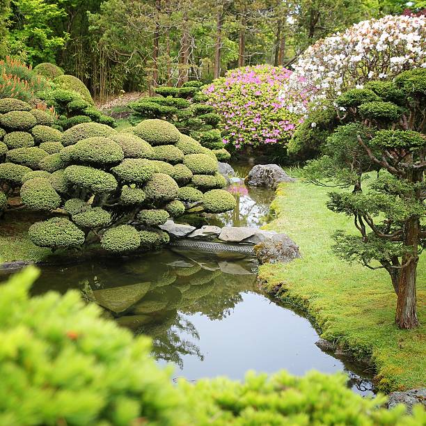 istock San Francisco Japanese Garden 2251540954