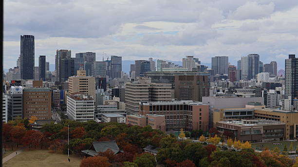 istock An expansive view of a bustling cityscape under a cloudy sky 2251545231