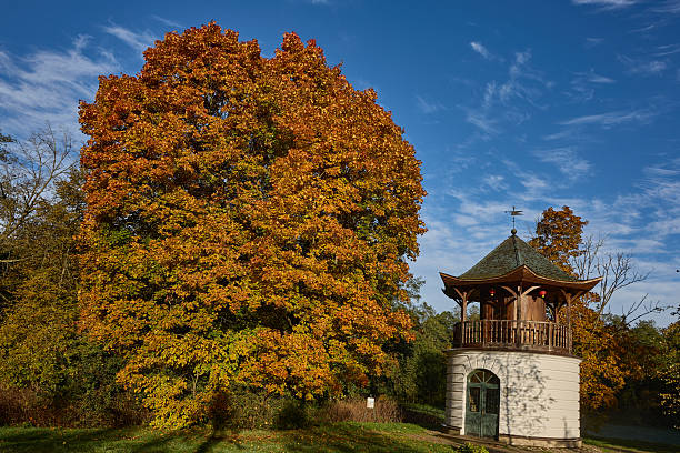 istock Autumn Park Landscape with Pavilion and Large Tree 2251546786