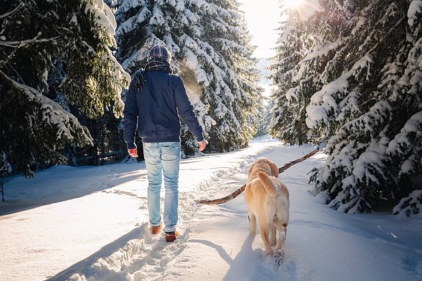istock Man walking with dog on footpath in snowy forest 2251546982