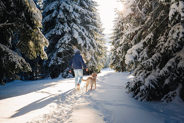 istock Man walking with dog on footpath in snowy forest 2251546983