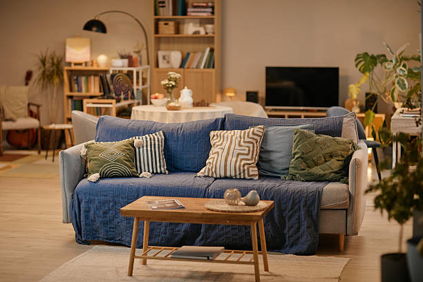 istock Empty Nursing Home Living Room Featuring Cozy Sofa and Decorative Pillows 2251547319