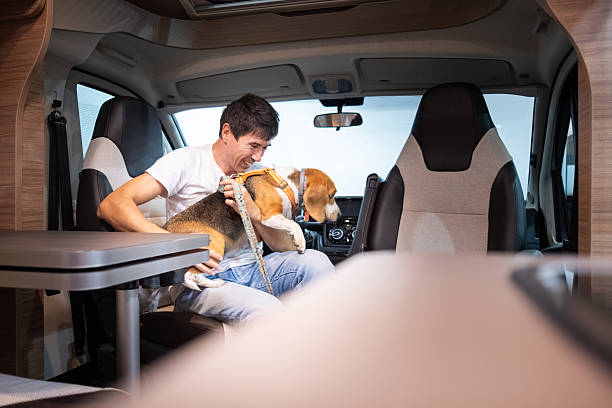 istock Man petting beagle dog inside camper van 2251550277