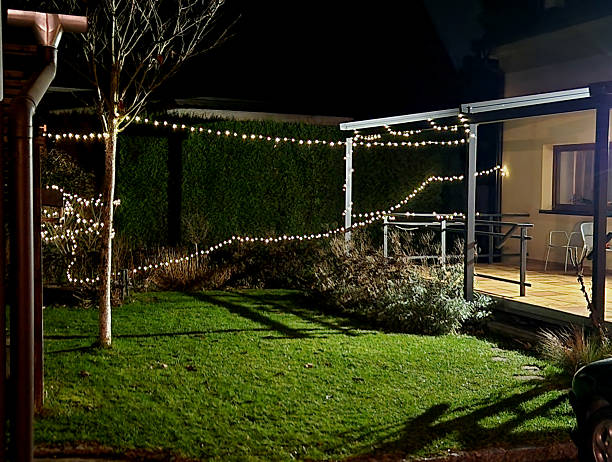 istock outdoor Christmas lighting, which involves the use of light chains and possibly light nets to decorate trees and the house. thin light chains with small, densely placed LEDs, micro LED cluster 2251550360