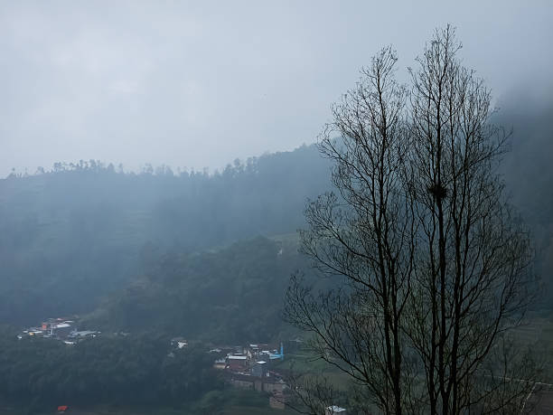 Overcast misty mountain view with silhouetted bare trees, foggy valley and distant hillside, quiet rural scene with soft atmosphere and wide sky space