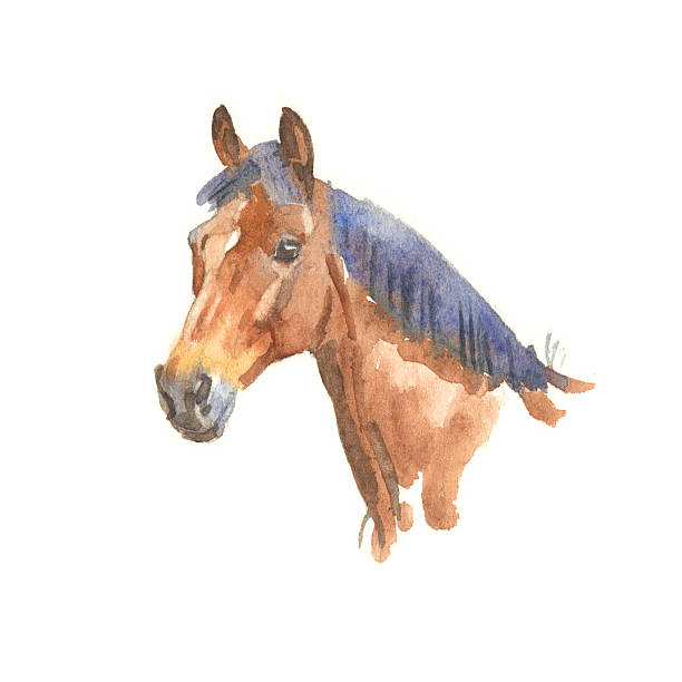 istock Bay horse head watercolour portrait 2251551805