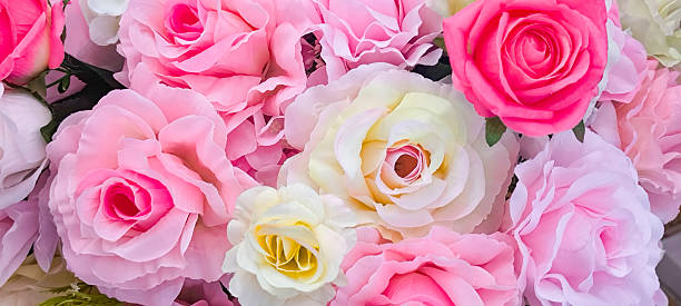 istock Fresh pink flowers for background 2251552801