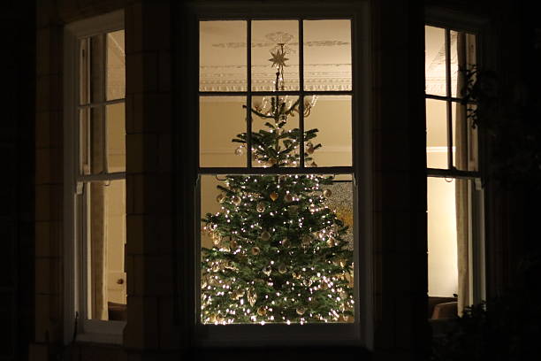 istock Christmas tree at night through a house window, covered in lights and decorations 2251562032
