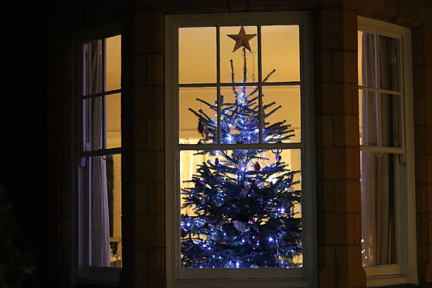 istock Christmas tree at night through a house window, covered in lights and decorations 2251562038