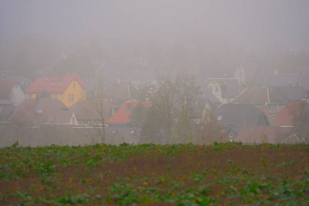 Fog on the Rennsteig trail in the Thuringian Forest