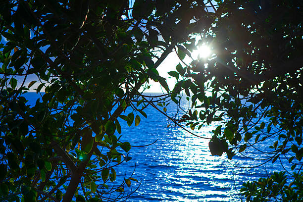 Portofino,Italy - june 26, 2024 -View of the exclusive coast, along the path that goes from Santa Margherita Ligure to Portofino through the natural park