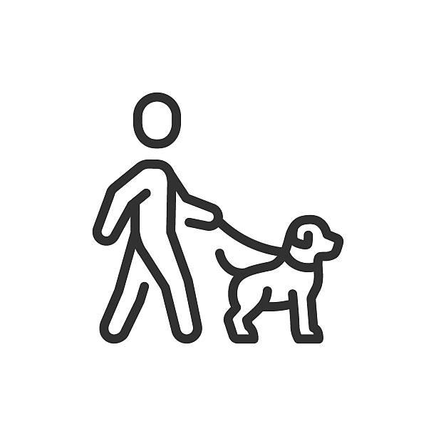 Person walking dog, linear icon. Pet care and outdoor activity. Line with editable stroke
