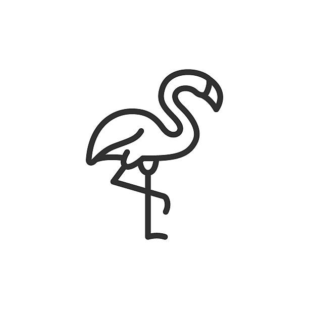 Flamingo, linear icon. Tropical bird and exotic wildlife. Line with editable stroke.