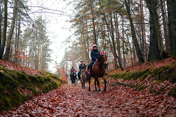 Gdansk, Poland - December 07, 2025: Horseback Riders on a Leaf-Covered Forest Path in Autumn