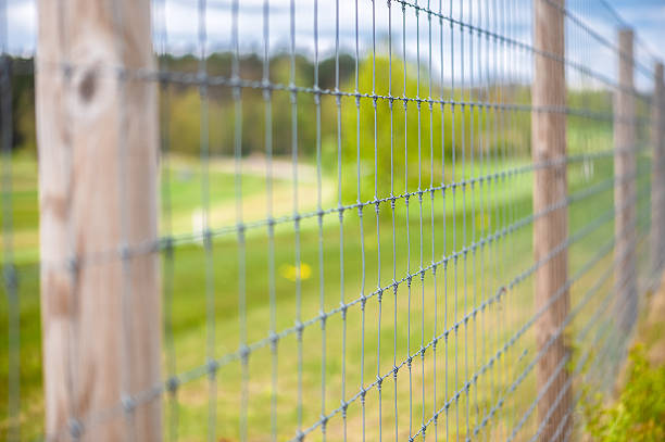 istock Soft Focus Wire Fence With Spring Meadow Colors In Latvia 2251579254