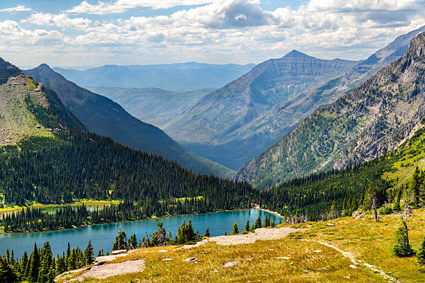 Hidden Lake sits in deep valley in Glacier National Park Montana. Alpine landscape features blue water and green pine forests surrounded by rugged mountain peaks