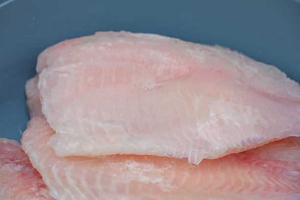 istock Fresh-Frozen Tilapia Fillets in a Plastic Bowl 2251584032