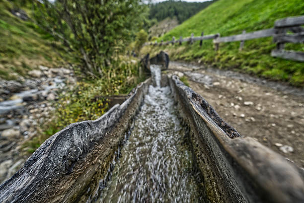 Italy, Dolomites region with abundant nature