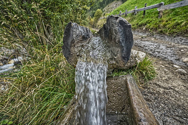 Naturel drinking water fountain in forest with sunset background.