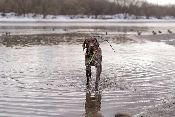 istock March. Kolomenskoye 2251602386