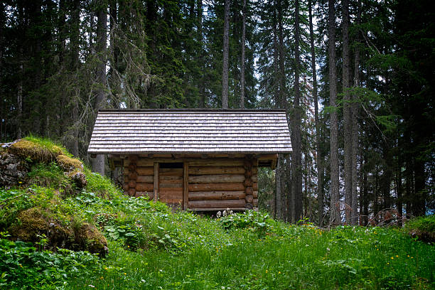 Spooky cabin in the woods