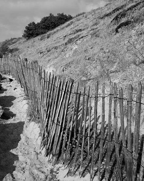 Baie de Authie coast, Berck, France