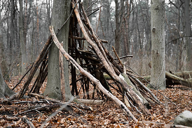 A hut made of branches in the forest . Stick shelter