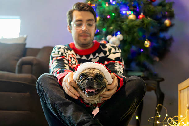 A doggy Christmas