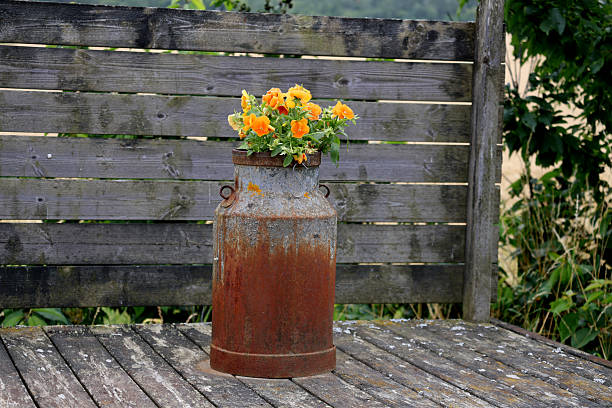 An old milk can with flowers in it