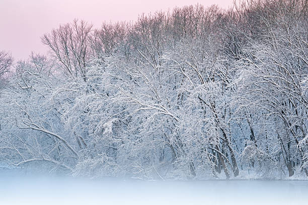 istock Winter, Snow Flocked Shoreline Kalamazoo River 2251615890