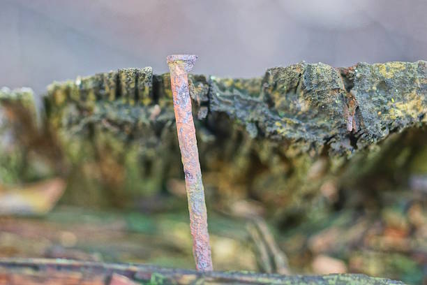 one old long rusty brown nail in a wooden board in the street