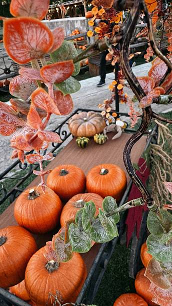 istock Autumn Pumpkin Patch Decoration with Harvest Display 2251620160