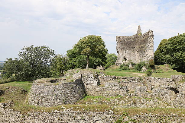 istock Domfront en Poiraie - Medieval castle remains 2251624443