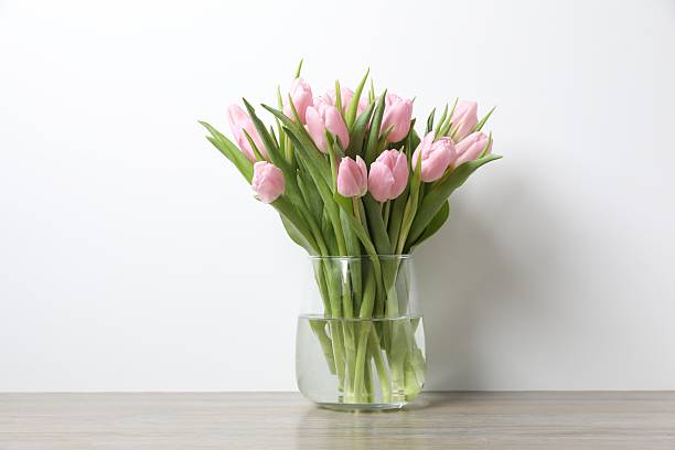 istock Beautiful pink tulips in a vase 2251627366