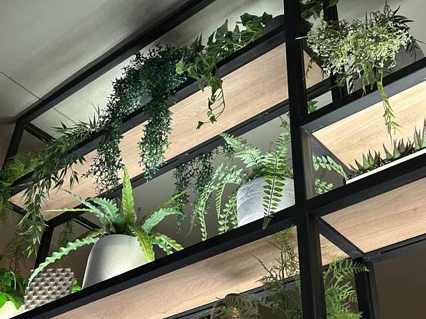 istock Indoor Plant Shelf With Lush Greenery And Modern Black Framing 2251627575
