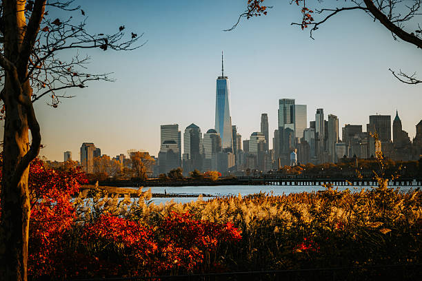 istock The Freedom Tower and Lower Manhattan 2251629936