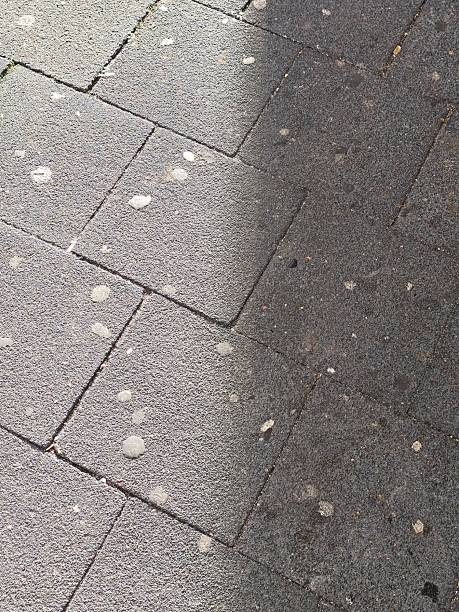 istock Paving Stones with Shadow and Gum Stains 2251632204