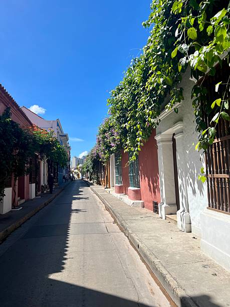 istock Historical and Modern Cartagena Cityscape 2251638767
