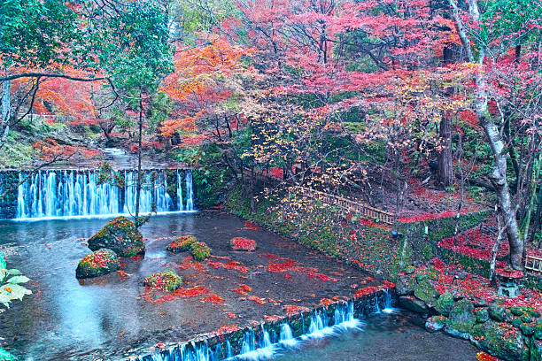 The Kifune River, Sakyo Ward, Kyoto City, colored by autumn leaves