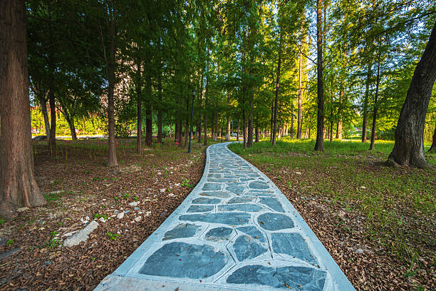 Curved pedestrian walkway through the green park forest