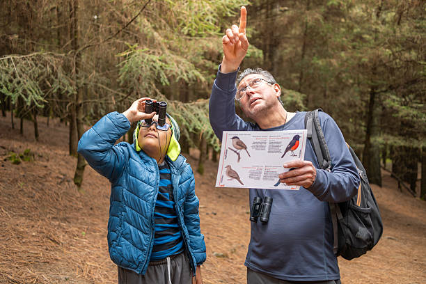 Grandfather and grandson birdwatching in forest, learning about nature