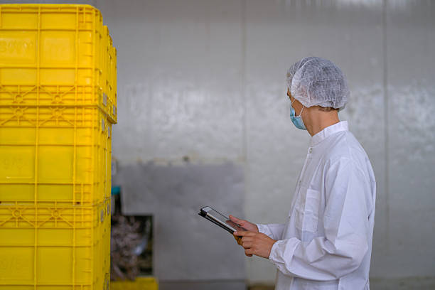 istock Inspector working at canned fish factory. 2251666681