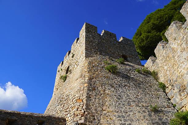istock Naupactus fortress 2251668212