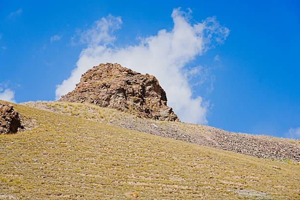 A sunny summer, a vast panoramic view of alpine meadows and natural grasslands.