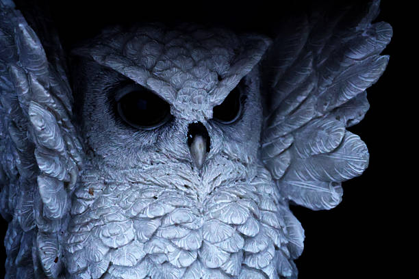 Up close of a owl decoration