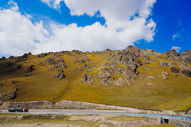 A sunny summer, a vast panoramic view of alpine meadows and natural grasslands.
