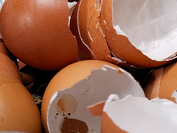 istock Close-up of broken brown eggshells piled together, captured in natural light. Rustic food waste and cooking concept showing texture, cracks, and organic materials in a kitchen setting 2251673070