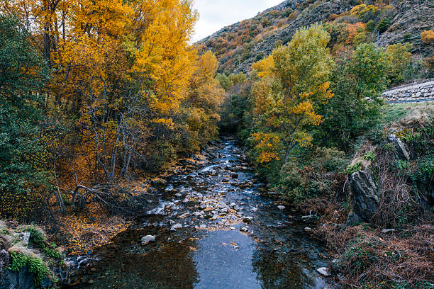 istock Rocky River Flowing Through Autumn Forest Landscape With Yellow Trees 2251676643