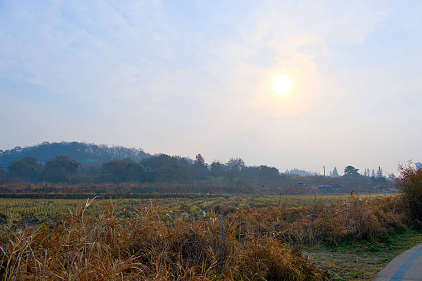 A morning in the countryside