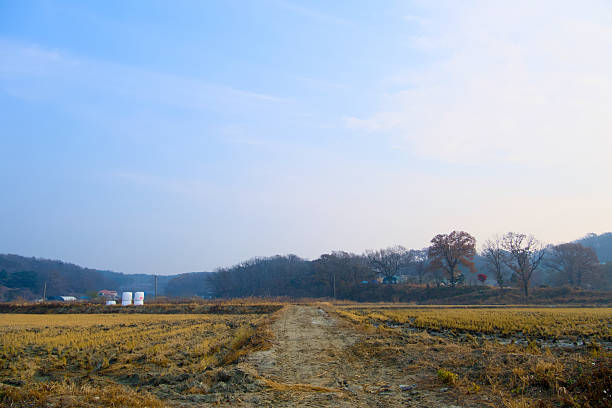 A morning in the countryside